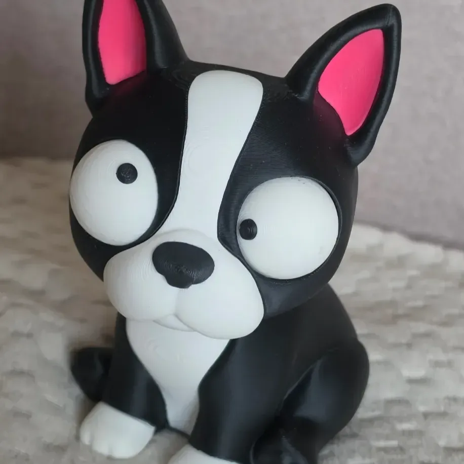 Goofy Boston Terrier - Gözleri Hareketli Şirin Model