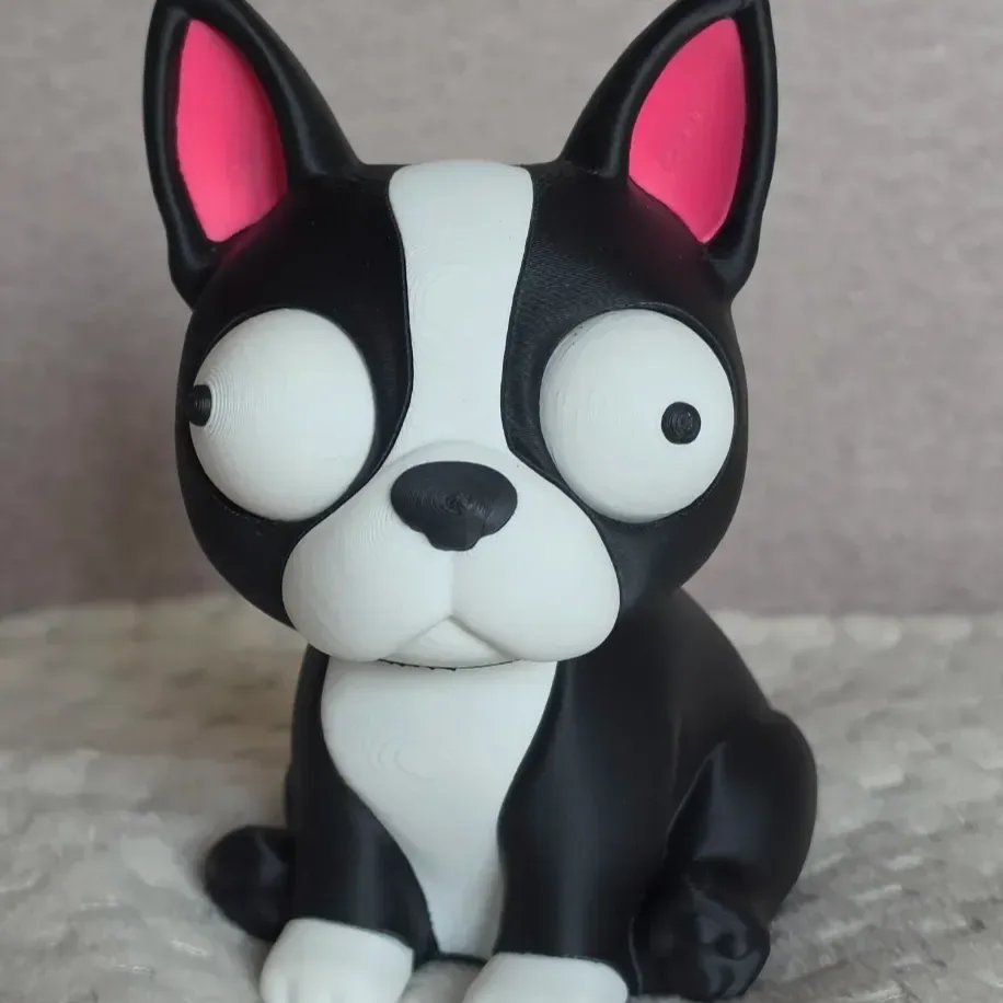 Goofy Boston Terrier - Gözleri Hareketli Şirin Model